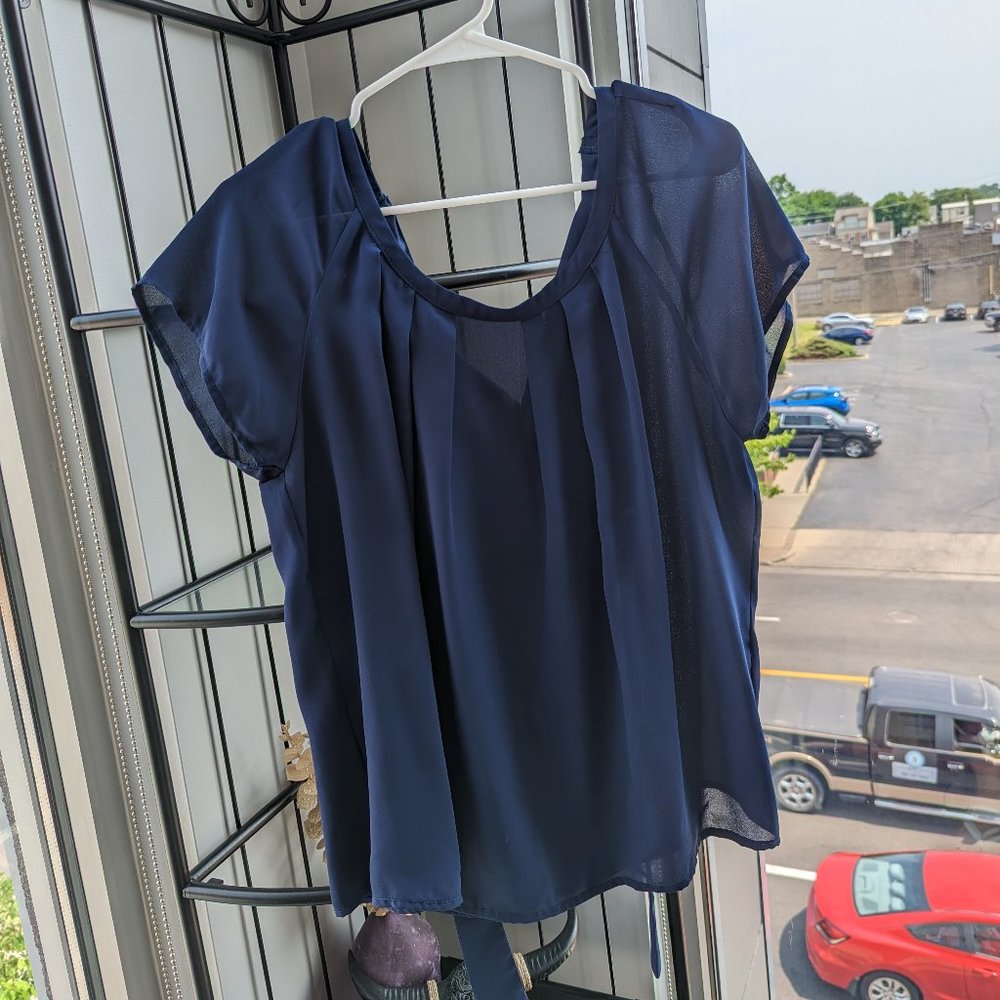 Blue Blouse